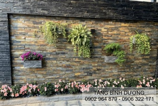 Ứng dụng sản phẩm trong ốp tường trang trí