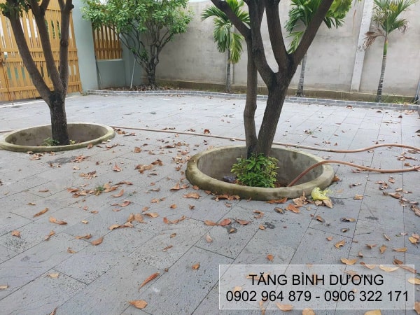 Đá tổ ong lát sân vườn 30x60cm Đá tổ ong lát sân vườn 30x60cm