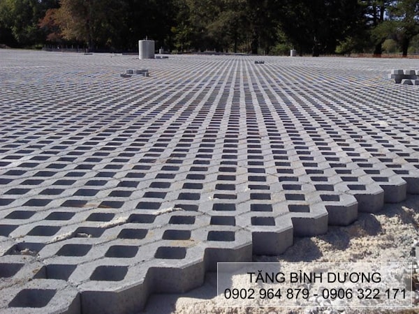 Dùng gạch trồng cỏ 8 lỗ nhám Dùng gạch trồng cỏ 8 lỗ nhám