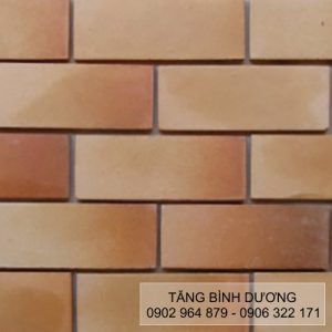 Gốm 2 Màu Bằng 7×20