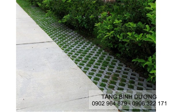 Sử dụng gạch trồng cỏ Sử dụng gạch trồng cỏ