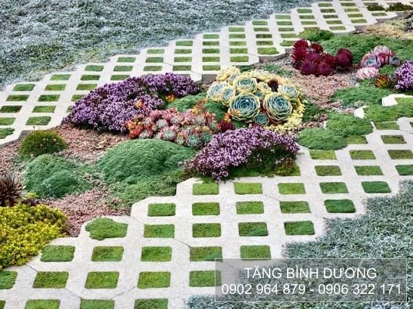 Gạch trồng cỏ 8 lỗ nhám chống trơn trượt Gạch trồng cỏ 8 lỗ nhám chống trơn trượt