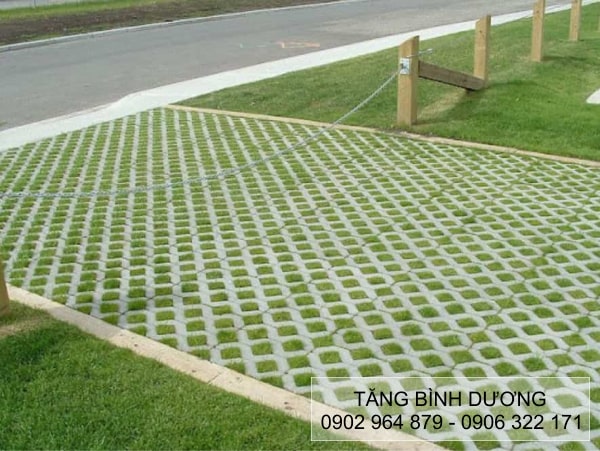 Sử dụng gạch trồng cỏ cho sân nhà đều đẹp Sử dụng gạch trồng cỏ cho sân nhà đều đẹp