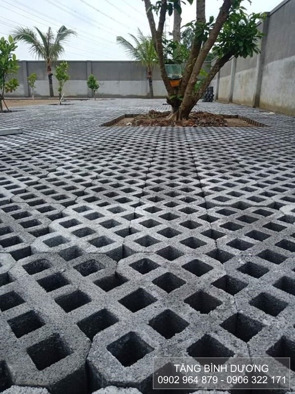 Gạch trồng cỏ 8 lỗ nhám lát đường Gạch trồng cỏ 8 lỗ nhám lát đường