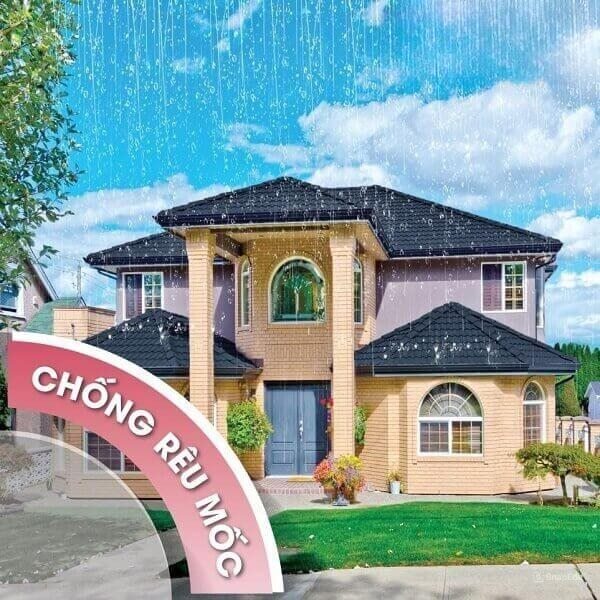 Sản phẩm có khả năng chống rêu mốc cao