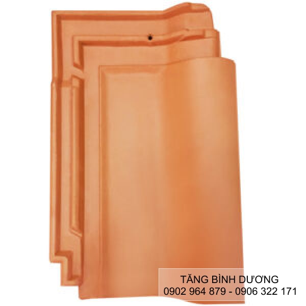 Ngói 20 Đồng Nai