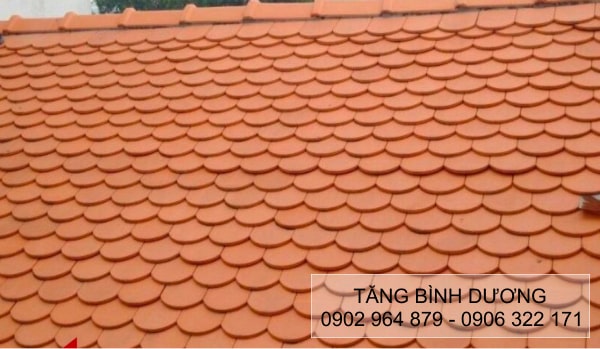 Ngói vảy cá Đất Việt màu sắc đẹp Ngói vảy cá Đất Việt màu sắc đẹp