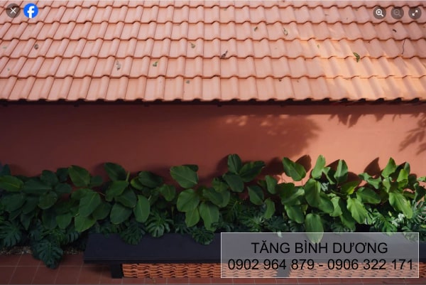 Ngói 20 Đồng Nai sử dụng cho nhiều công trình