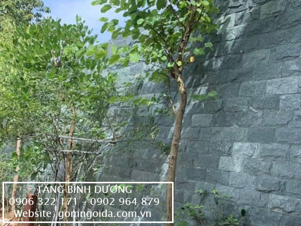 Tường đá màu xanh rêu tươi mát