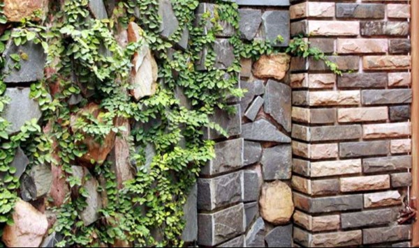 Tường ốp đá rối đẹp được ốp bằng đá rối đa sắc Lai Châu