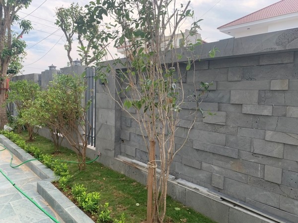 Đá tổ ong ốp tường rào - Giải pháp chống thấm hiệu quả