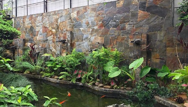 Đá đa sắc Lai Châu cũng là 1 trong những loại đá ốp tường phổ biến hiện nay