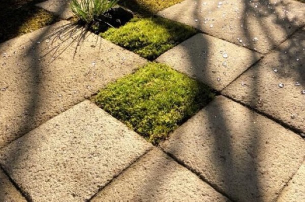 Đá granite vàng băm mặt