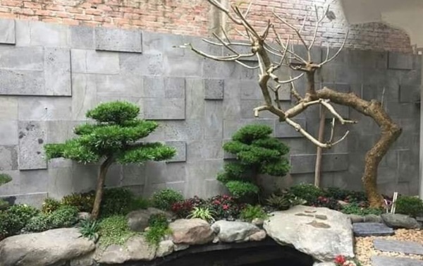 Đá ong xám ốp tiểu cảnh mang vẻ đẹp cổ điển xen lẫn hiện đại