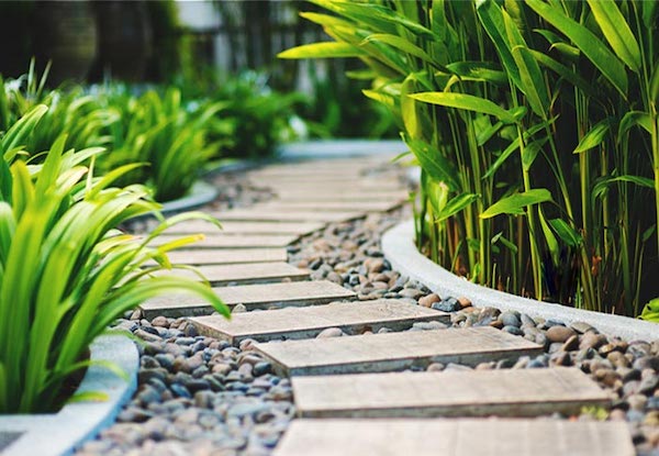 Thiết kế lối đi sân vườn với phong cách hiện đại, sang trọng