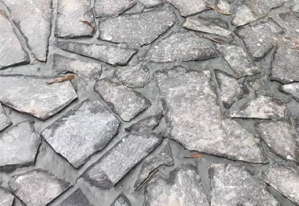 Đá rối đen lông chuột Đá rối đen lông chuột