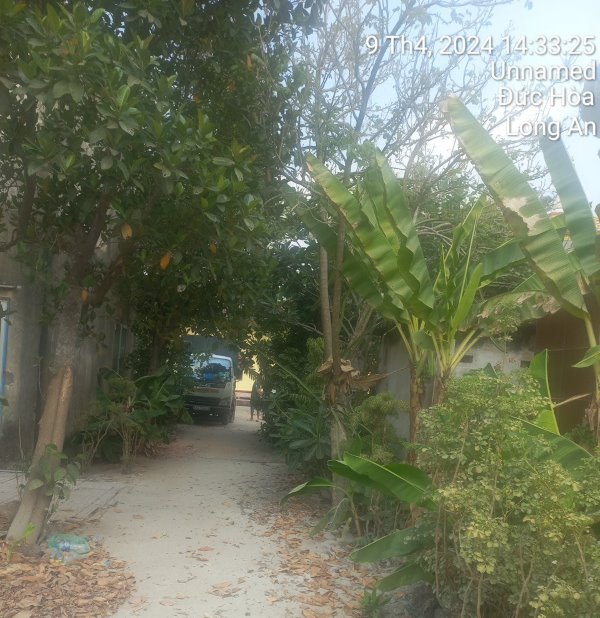 Hình ảnh tại công trình