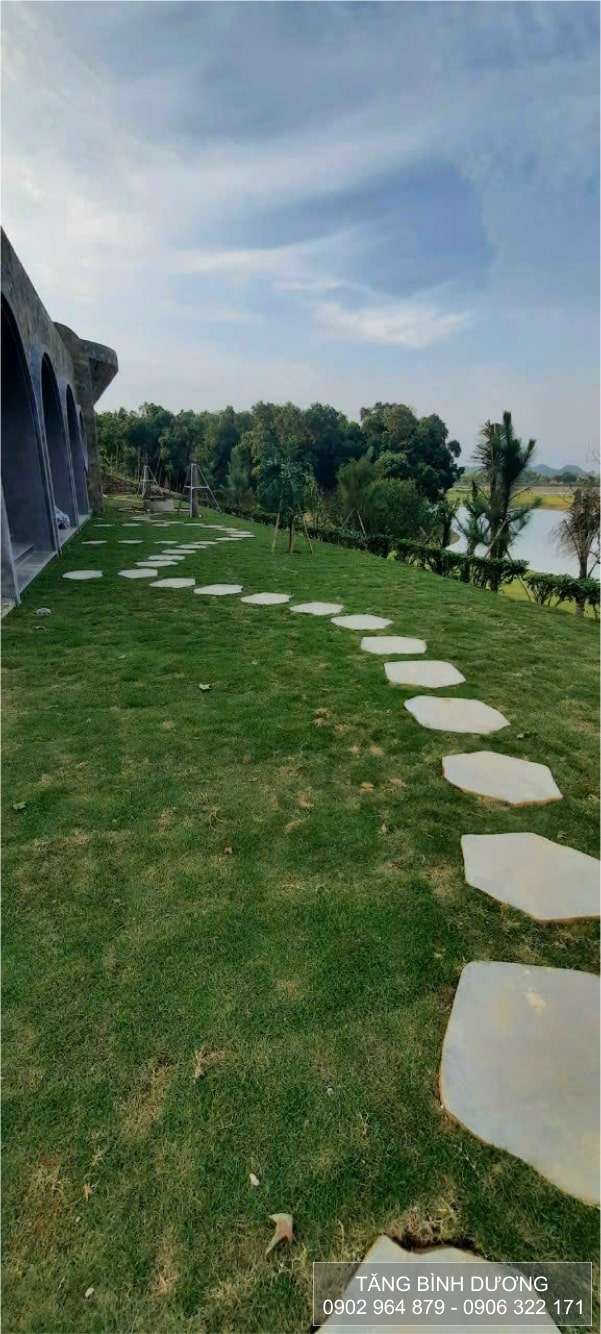 Đá thớt bước dậm Bazan trang trí vườn Đá thớt bước dậm Bazan trang trí vườn
