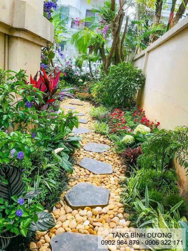 Đá thớt bước dậm Bazan trang trí sân vườn Đá thớt bước dậm Bazan trang trí sân vườn