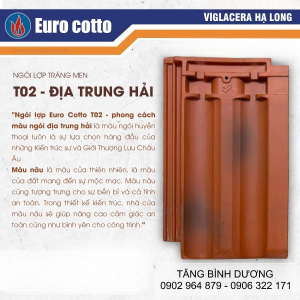 Ngói Viglacera Màu T02