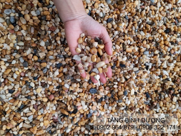 Sỏi đa màu sắc