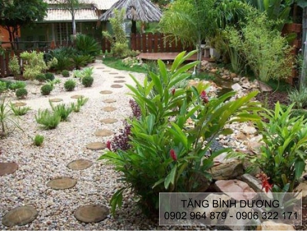 Sỏi ngà trắng tự nhiên dùng cho sân vườn quán cà phê Sỏi ngà trắng tự nhiên dùng cho sân vườn quán cà phê