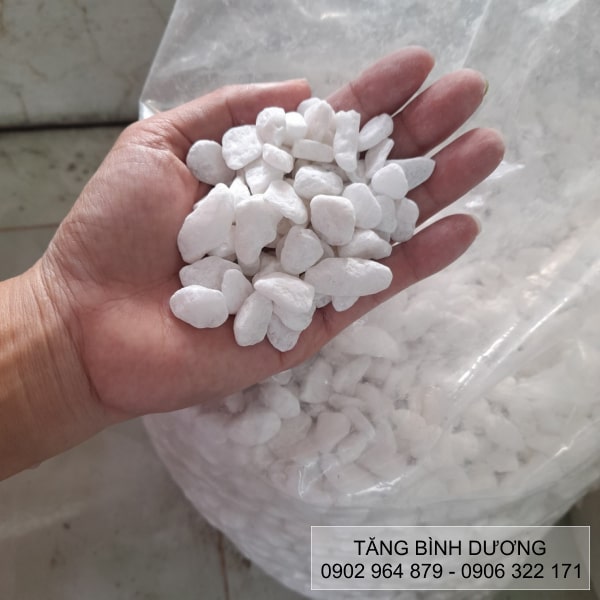 Sỏi trắng quay Sỏi trắng quay